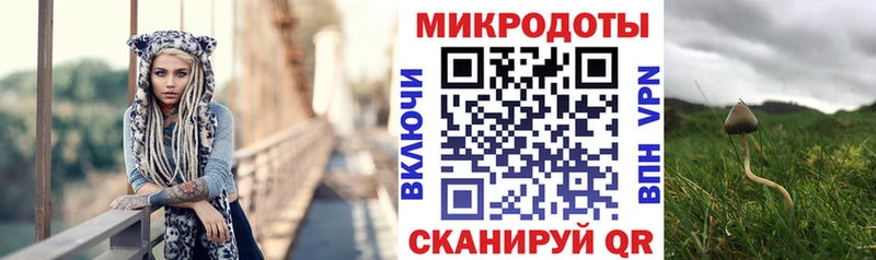 Псилоцибиновые грибы Cubensis  Купить закладки  Каргат 